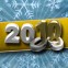 С НОВЫМ ГОДОМ 2010!