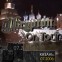 DJ Krypton, MC Jamay @ клуб «Эрмитаж» (г. Казань) 07.2006
